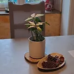 Bed & Breakfast L'etoile Du Matin Terville