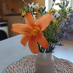 L'etoile Du Matin Bed & Breakfast Terville