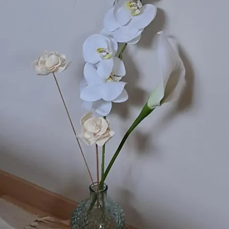 Bed & Breakfast L'etoile Du Matin