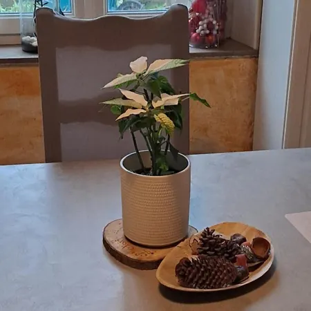 Bed & Breakfast L'etoile Du Matin Terville