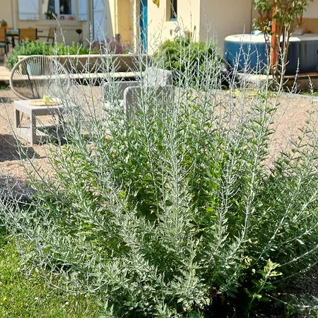 L'etoile Du Matin Alojamento de Acomodação e Pequeno-almoço Terville