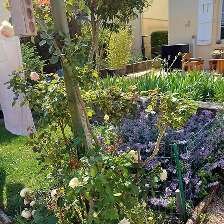 L'etoile Du Matin * Terville