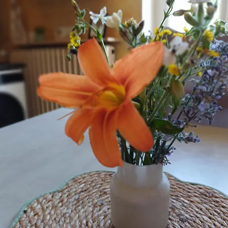 L'etoile Du Matin Bed & Breakfast Terville