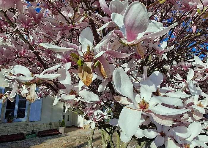 B&B L'etoile Du Matin *