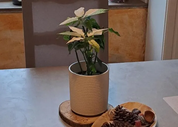 לינה וארוחת בוקר L'etoile Du Matin Terville