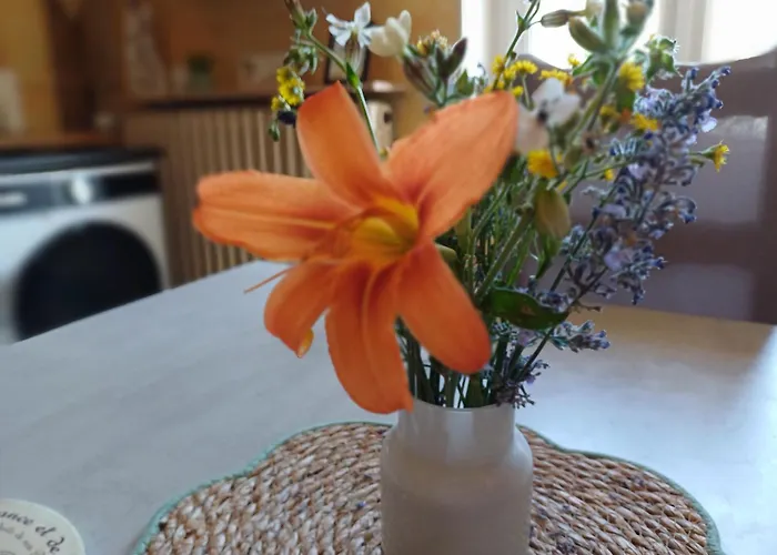 L'etoile Du Matin לינה וארוחת בוקר Terville